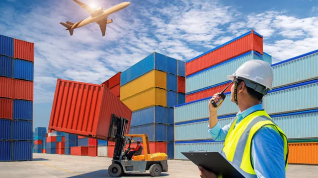 Why You Need a Professional Customs Agent in Dubai