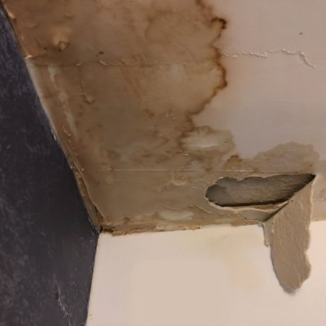The Ultimate Guide to Roof Leak Repairs in Fort Myers, FL