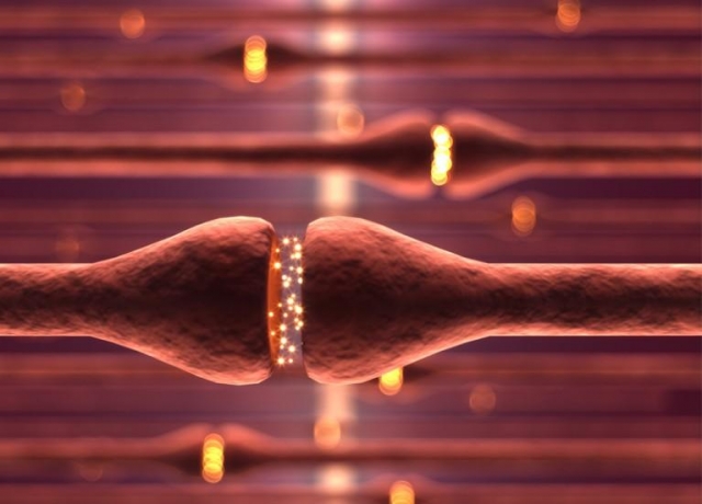 Global Sodium Channel Blockers Market Growth Accelerates Due to Rising Cardiovascular Disease Cases