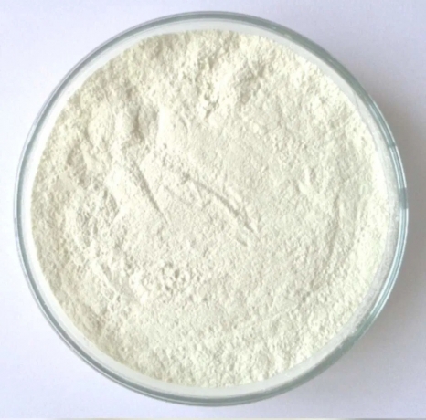 Dicalcium Phosphate Manufacturing Plant Report 2025: Business Plan, Setup and Cost Analysis