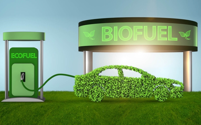 India Biofuels Market Set to Experience Remarkable Growth Due to Government Renewable Energy Initiatives