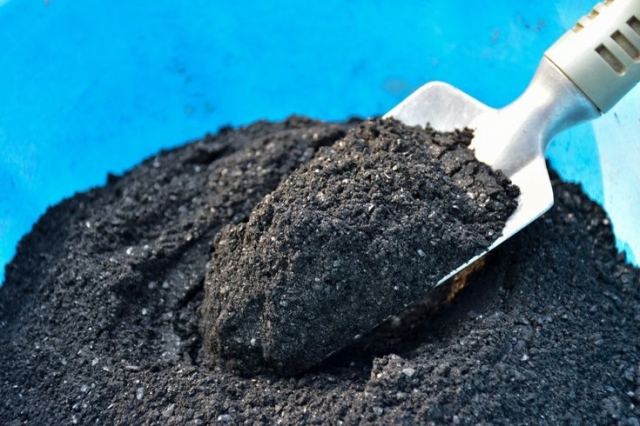 Biochar Market Outlook 2025: Growth and Investment Opportunities