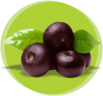 Vita Plus Acai Berry Powder – Superfood for Energy & Wellness