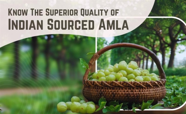 Why Indian Amla Fruit Powder Stands Out in Quality and Efficacy