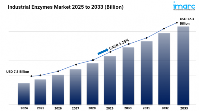 Industrial Enzymes Market Size, Share, Growth, Latest Insights and Forecast 2025-2033
