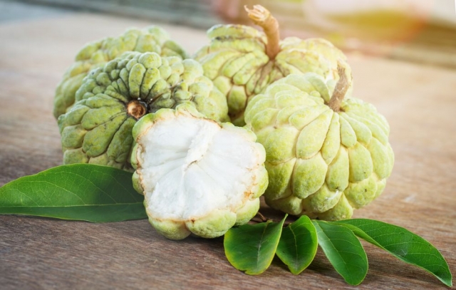 Health Benefits Of Custard Apple For Men's