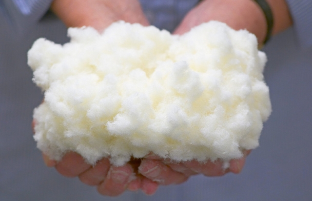 Cellulose Fiber Market Surges Due to Growing Sustainable Textile Demand