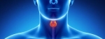 Can You Reverse High PTH Naturally? Expert Tips on How to Reduce Parathyroid Hormone at Home