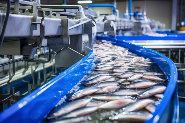 Fish Processing Market Expansion Driven by Rising Demand for Processed Seafood Products