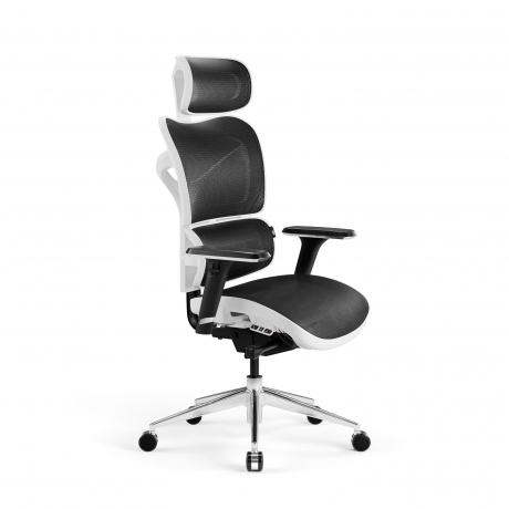 Ergonomiczny fotel biurowy – fundament zdrowej i efektywnej pracy