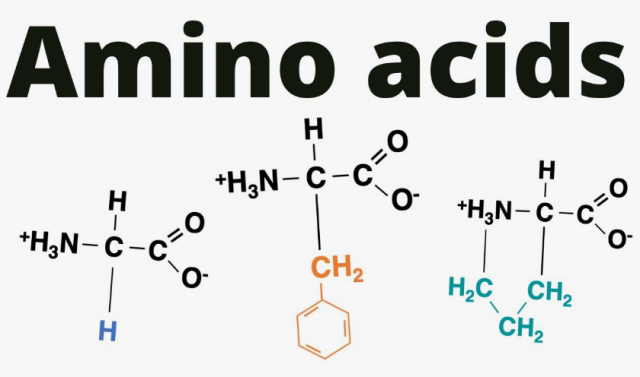 Amino Acids Market: Fueling Growth Across Nutrition, Pharmaceuticals, and Agriculture
