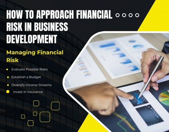 How do financiers assess the potential of a business