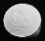 Bacillus Subtilis: A Highly Useful Bacteria in Industrial Applications