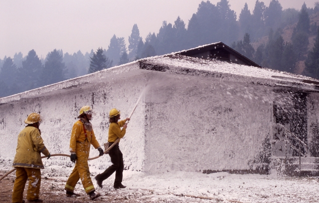 Firefighting Foam Market Gains Momentum Due to Rising Industrial Fire Safety Regulations