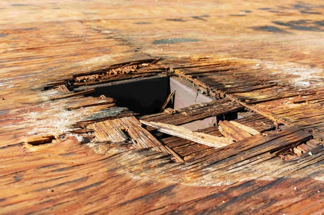 5 Signs You Need to Replace Your Old Plywood Panels