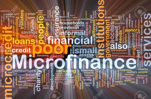 Discover Tally's Role in Modern Microfinance Management