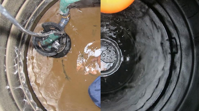 The Hidden Danger in Your Tank: Why Sunshine Coast Homes Need Sediment Cleaning