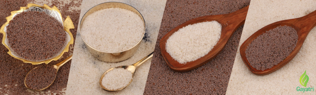 Gayatri Psyllium Industries