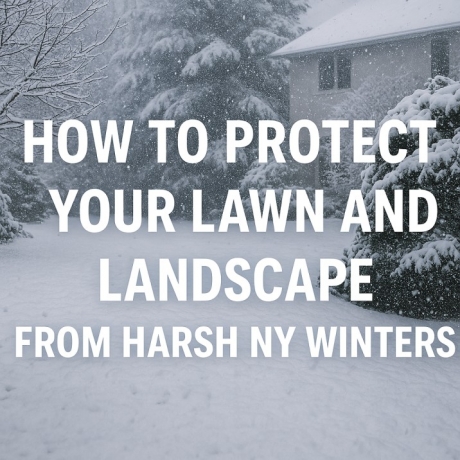 How to Protect Your Lawn and Landscape from Harsh NY Winters