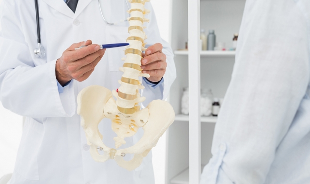 7 Subtle Ways a Chiropractor Alters Internal Body Function