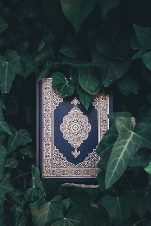 Your Trusted Gateway to the Best Online Quran Academy Experience