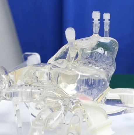 Cardiac Intervention Simulation Model