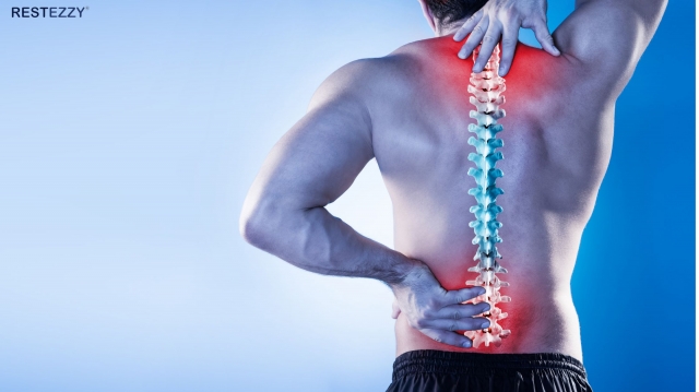 Restezzy: The Ultimate Comfort Solution For Your Back Pain