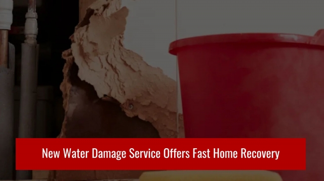 New Water Damage Service Offers Fast Home Recovery