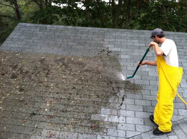 Top Signs Your Auckland Roof Needs Immediate Treatment