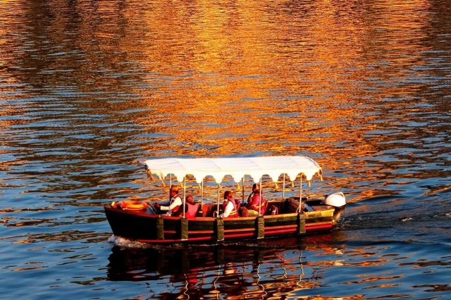 Udaipur Highlights: Why It’s Famous & How to See It in One Day