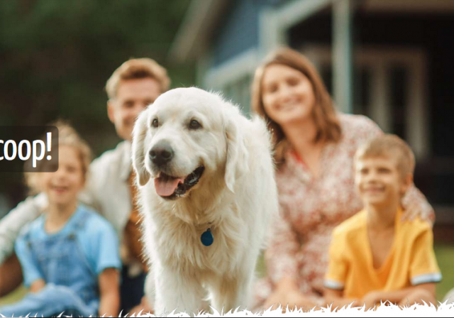 Keeping Clean: The Rise of Pet Waste Removal Services!