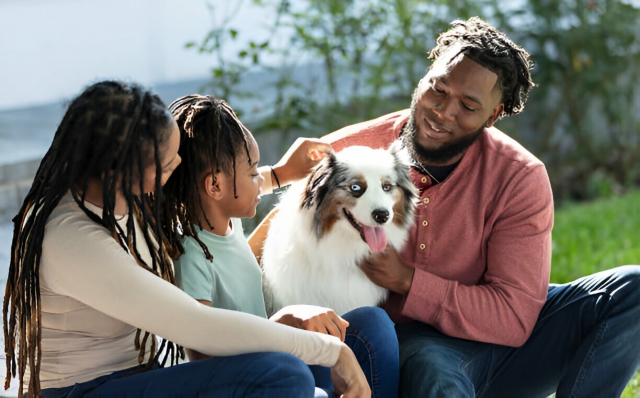 The Importance of the Spouse Visa Route for Your Future