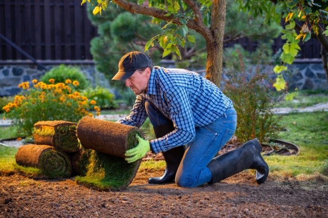 Transform Your Backyard with a Custom Landscape Design Service
