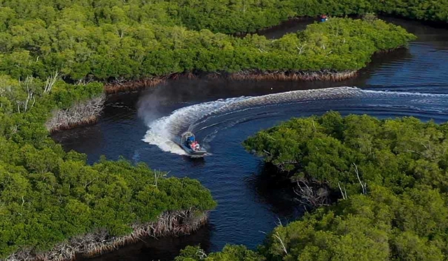 Everglades Tour - Miami