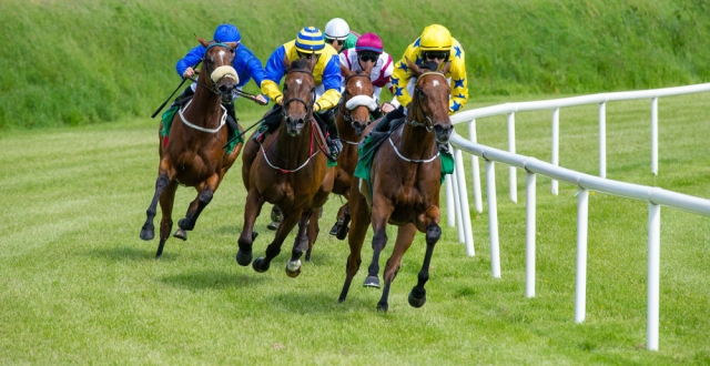 From Odds to Outcomes: Understanding How to Bet on Horse Racing Smartly
