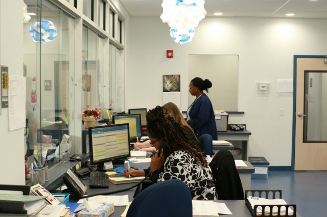 What to Expect When You Visit a Gastroenterology Clinic in Warren, OH: A Complete Guide