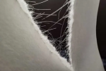 Non Woven Facing