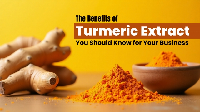 Why Turmeric Extract Powder Is Becoming Essential Across Industries 