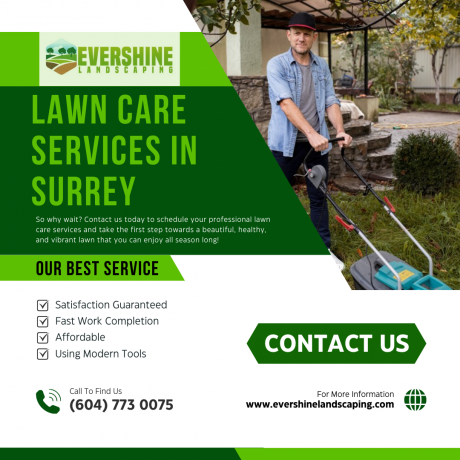 How to Keep Your Surrey Lawn Weed-Free All Year Round