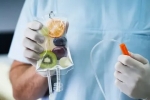 IV Drip: A Comprehensive Guide to Intravenous Wellness Therapy