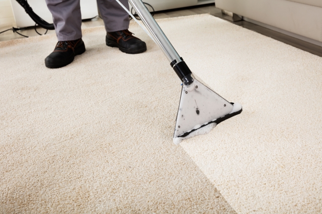 Expert Carpet Cleaning Highland: Revive Your Space with Professional Care