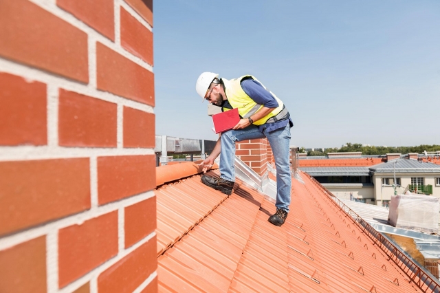 Roof Rejuvenation Services in OrangePark - Mr Petes Power Wash