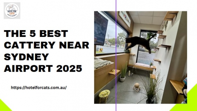 The 5 Best Cattery Near Sydney Airport