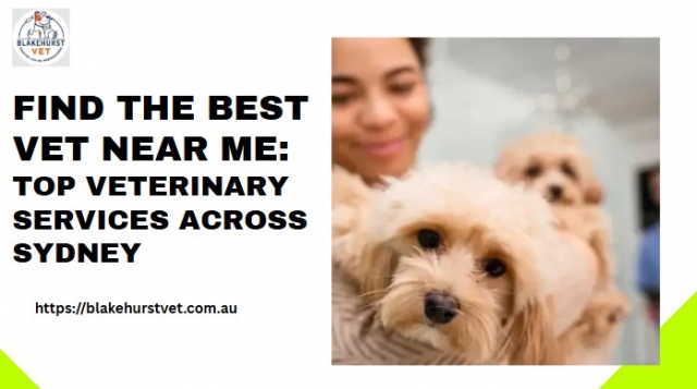 Find the Best Vet Near Me: Top Veterinary Services Across Sydney