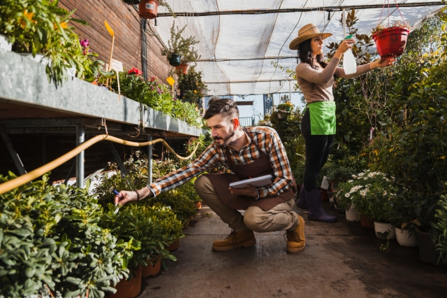 Top Growth Hacks for Gardener’s Oasis Greenhouse