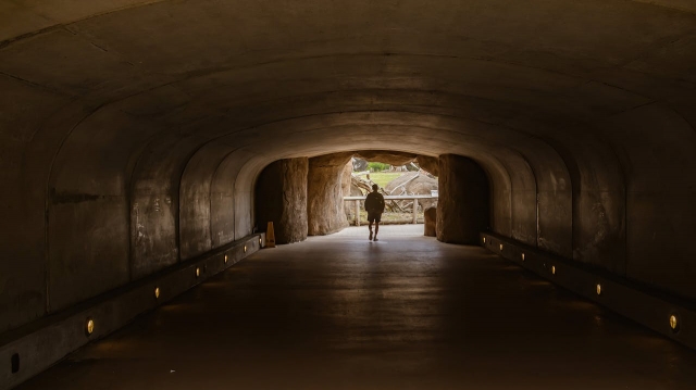 What Happens If You Skip Crawl Space Encapsulation? 