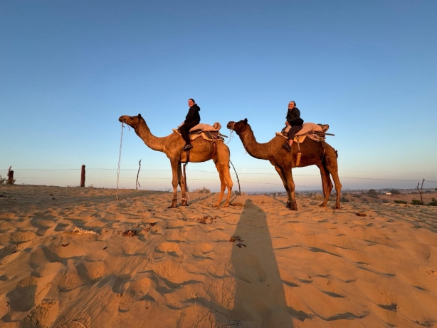 Top Things to See in Jaisalmer Fort and Its Museums