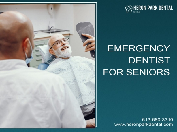 Figuring Out Holistic Dentistry: A Natural Approach to Oral Health