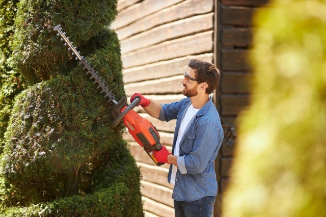 Protect Your Property: Emergency Tree Services in Los Angeles You Can Count On