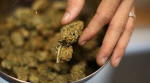 Unlocking the Benefits of Weed Delivery Near Me: A Comprehensive Guide